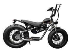 AR Atom 1000 Watt Mini Electric Bicycle