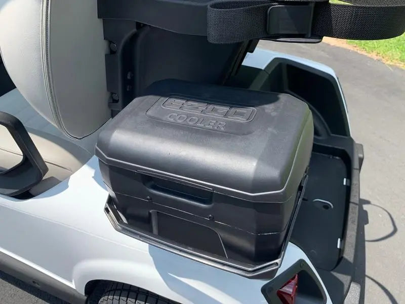 2020 E-Z-GO Fleet RXV ELiTE Golf Cart For Sale image 6