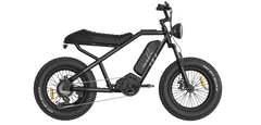 RAEV Bullet V1 Electric Bicycle