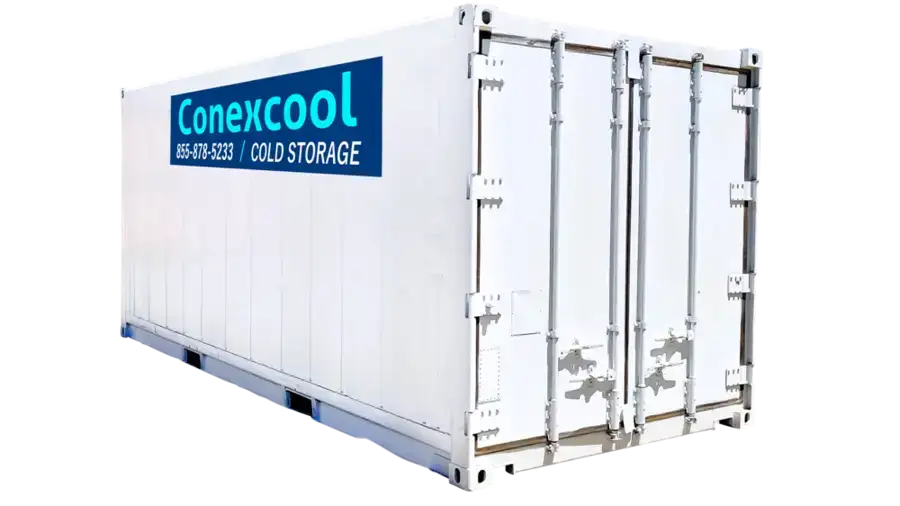 Single-Phase 20ft New Refrigerated Container Low Temp image 4