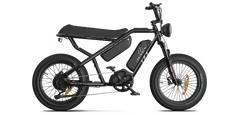 RAEV Bullet X /XF V2 Electric Bicycle